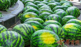 学院吃瓜爆料视频素材,吃瓜爆料视频背后的真相大揭秘