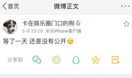 吃瓜爆料精灵,吃瓜爆料精灵带你探秘明星幕后故事